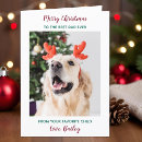 Search for dog dad christmas cards Father