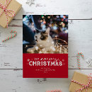 Search for meowy christmas cards Red