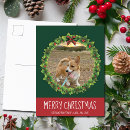 Search for dog photos postcards Cute