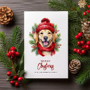 Search for yellow labrador christmas cards Happy pawlidays