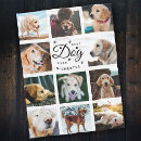 Search for dog photo blankets Best dog ever