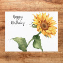 Search for happy birthday sunflower postcards Cheerful