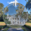 Search for state of georgia christmas tree decorations America