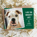 Search for funny dog christmas cards Pet