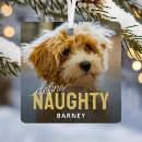 Search for naughty dog christmas tree decorations Pet photo