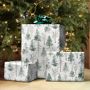 Search for spruce wrapping paper Woodland