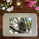 Search for marsupial stickers Animal