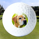 Search for dog golf balls Modern