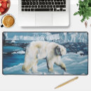 Search for iceberg electronics Winter