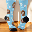 Search for blue socks Dog