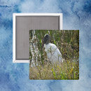 Search for stork magnets Animal