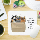 Search for kits mouse mats Funny
