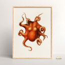 Search for vintage octopus posters Illustration