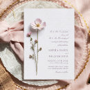Search for dried flowers postcards Bohemian