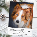 Search for funny dog cards Define naughty