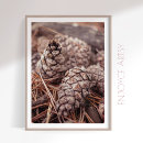 Search for cone art Nature