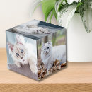 Search for pet photo cubes Create your own