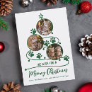 Search for cat photo christmas cards Modern