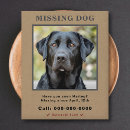Search for missing the flyers Animal