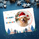 Search for fur baby cards Pet owner