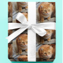 Search for pet wrapping paper Dog