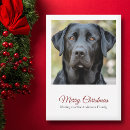 Search for black labrador christmas cards Pet