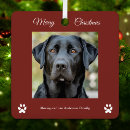 Search for black labrador christmas tree decorations Pet