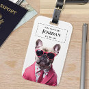 Search for pet travel accessories Stylish