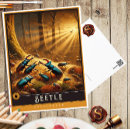 Search for beetles postcards Animal