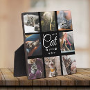 Search for cat memorial gifts Modern