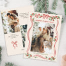 Search for red ribbon christmas cards Elegant minimalist christmas