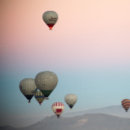 Search for turkey art Balloon