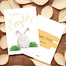 Search for bunny illustration cards Greetings