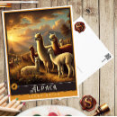 Search for alpaca postcards Vintage