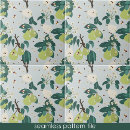 Search for pear tiles Food