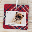 Search for blue bird christmas tree decorations Pet