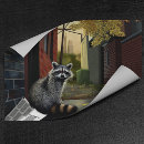 Search for funny raccoon posters Cute