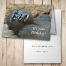 Search for funny gorilla birthday cards Ape