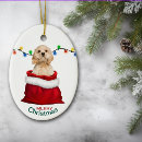 Search for cocker spaniel dog christmas tree decorations Animal