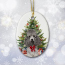 Search for miniature christmas tree decorations Animal