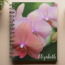 Search for orchid notebooks Photography