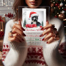 Search for funny cat christmas invitations Kitty