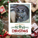 Search for meowy christmas cards Whiskers