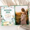 Search for brachiosaurus invitations Hatching soon
