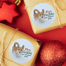 Search for corgi christmas stickers Cute