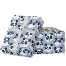 Search for black bear wrapping paper Cute