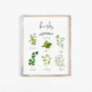 Search for herb art Kitchen