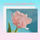 Search for tulip easter postcards Beautiful