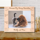 Search for cute cat picture frames For pets