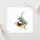 Search for nuthatch Watercolor